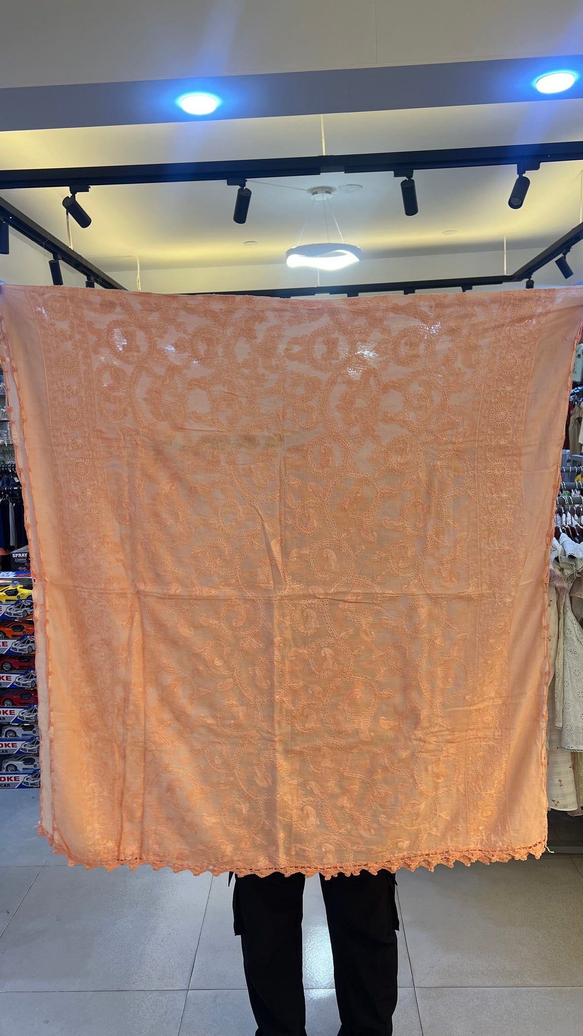 Premium Embroidered Ladies Dupatta-LD117