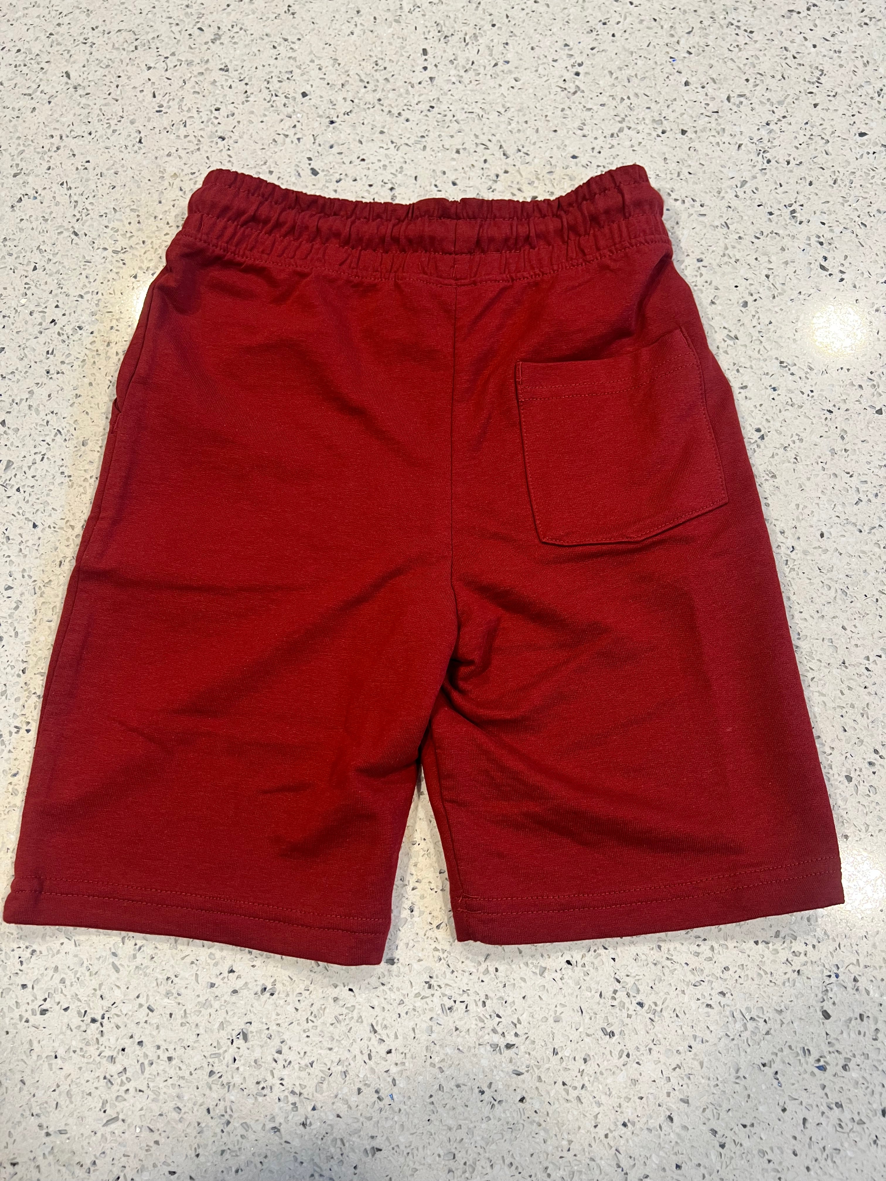 Premium Boys Casual Shorts-C473