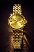CX60 Caslex Chain Bracelet Ladies Watch