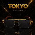 Premium Fashion Sunglasses-SG12