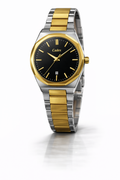 Luxury Two-Tone Stainless Steel Wristwatch - Gold & Silver 557