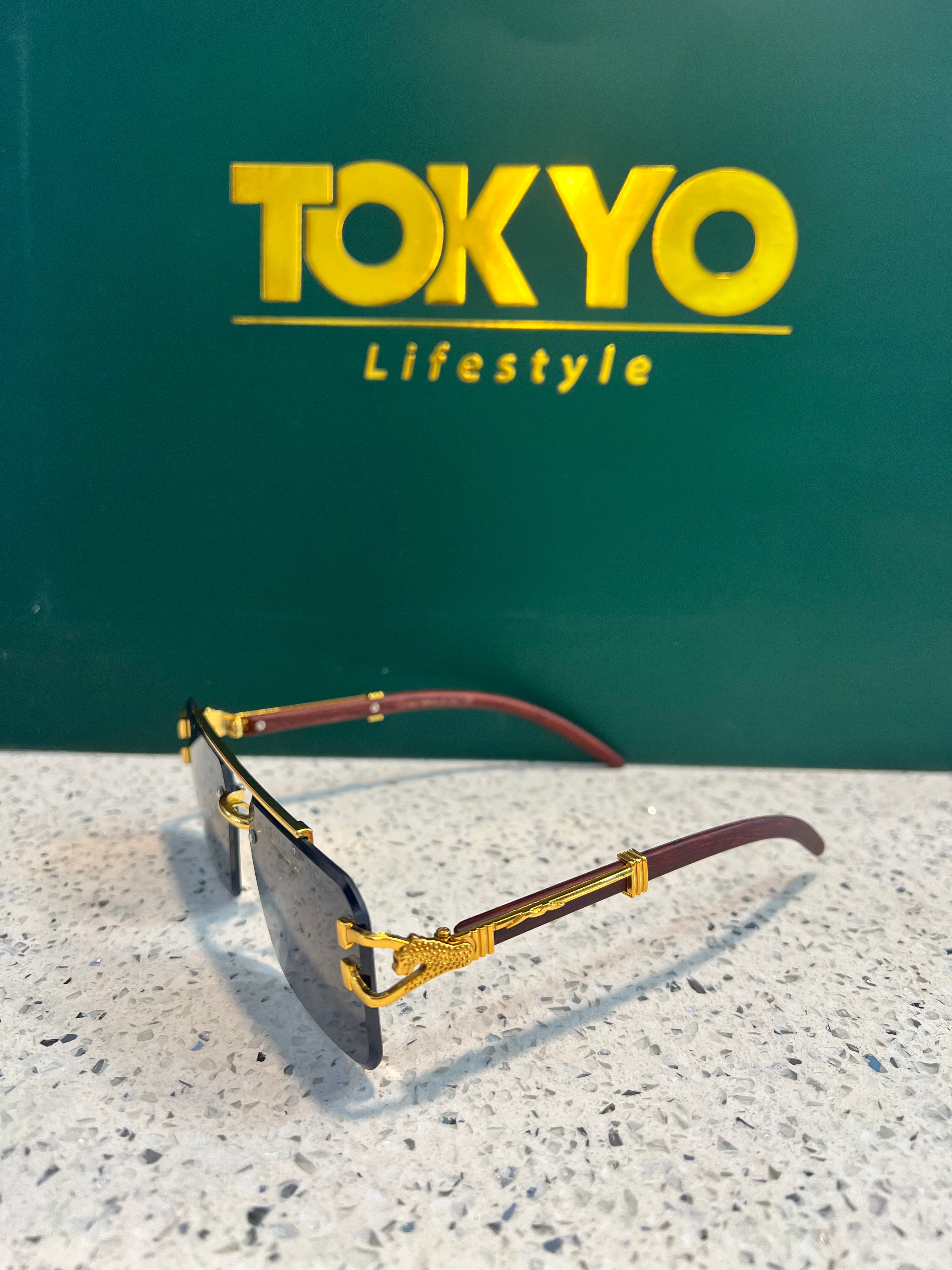 Premium Fashion Sunglasses-SG12