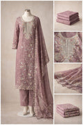 Premium Embroidered Organza Salwar Kameez C193