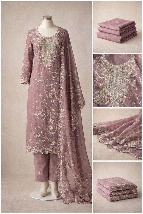 Premium Embroidered Organza Salwar Kameez C193