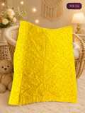 Premium Hand Quilted Baby Nakshi Kantha-NK16