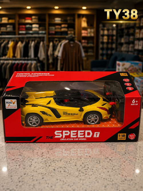 1:18 Scale Remote Control Sports Car – TY38