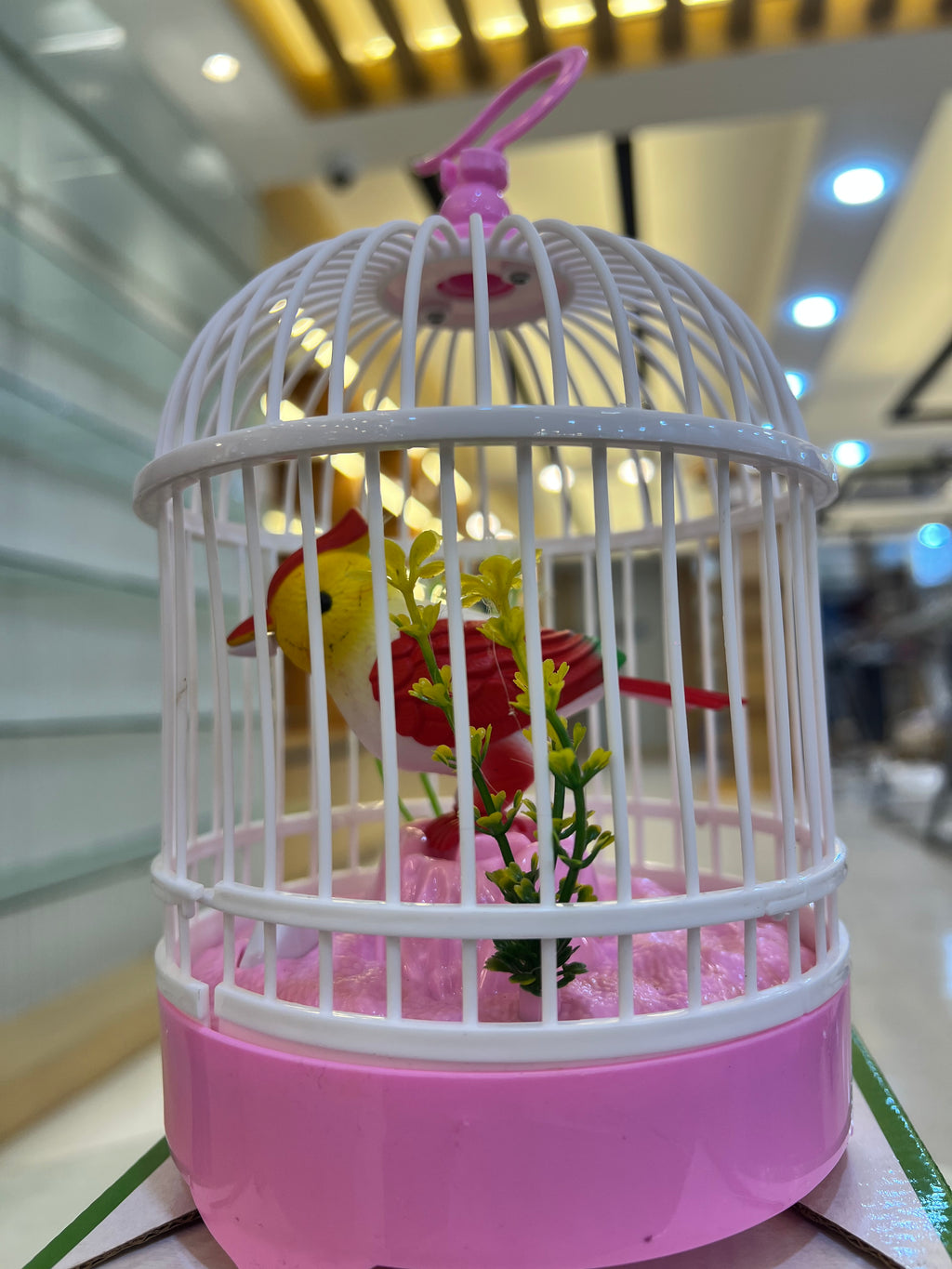 Rechargeable Beautiful Bird in Cage – Moving & Singing Toy