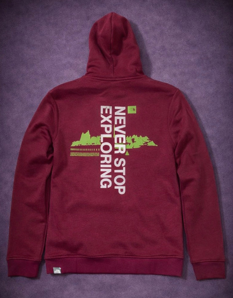 Mens Premium The North Face Logo Hoodie 1003
