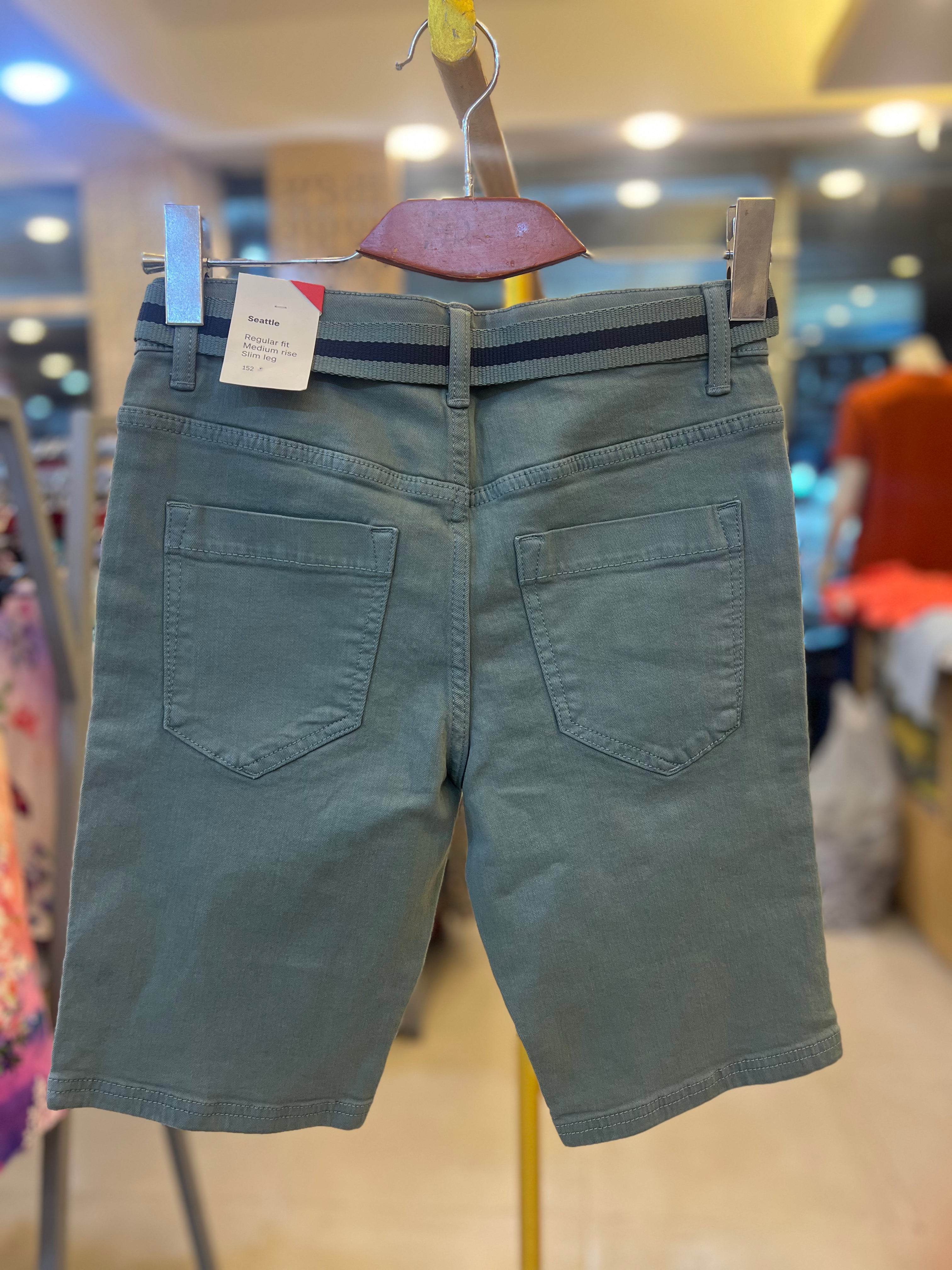 Premium Men’s Casual Shorts Sage Green-C33