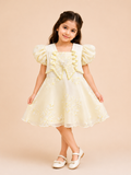 Baby Girls Elegant Embroidered Dress 257