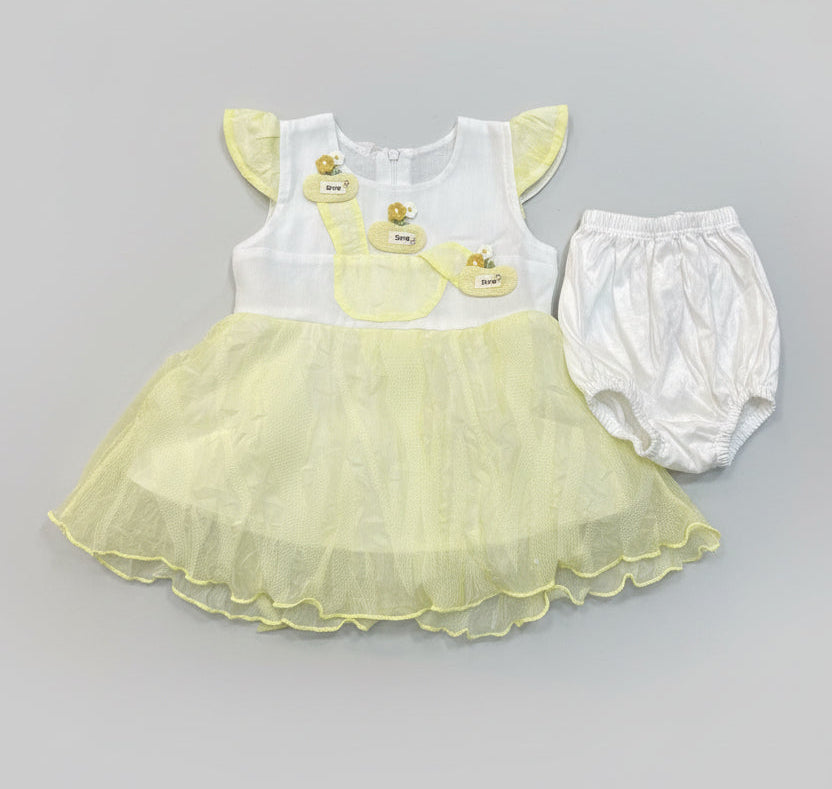 Baby Girls Appliqué Net Frock Set 78
