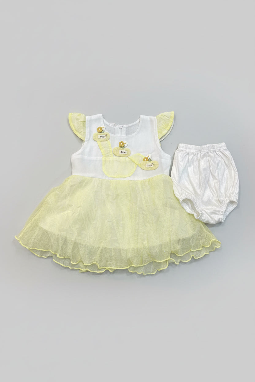 Baby Girls Appliqué Net Frock Set 78