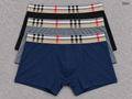 Premium Brief Boxer 3pcs box barberry BB01