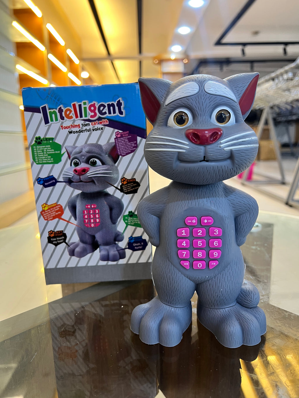 Intelligent Talking Cat Toy with Sound, Music & Keypad