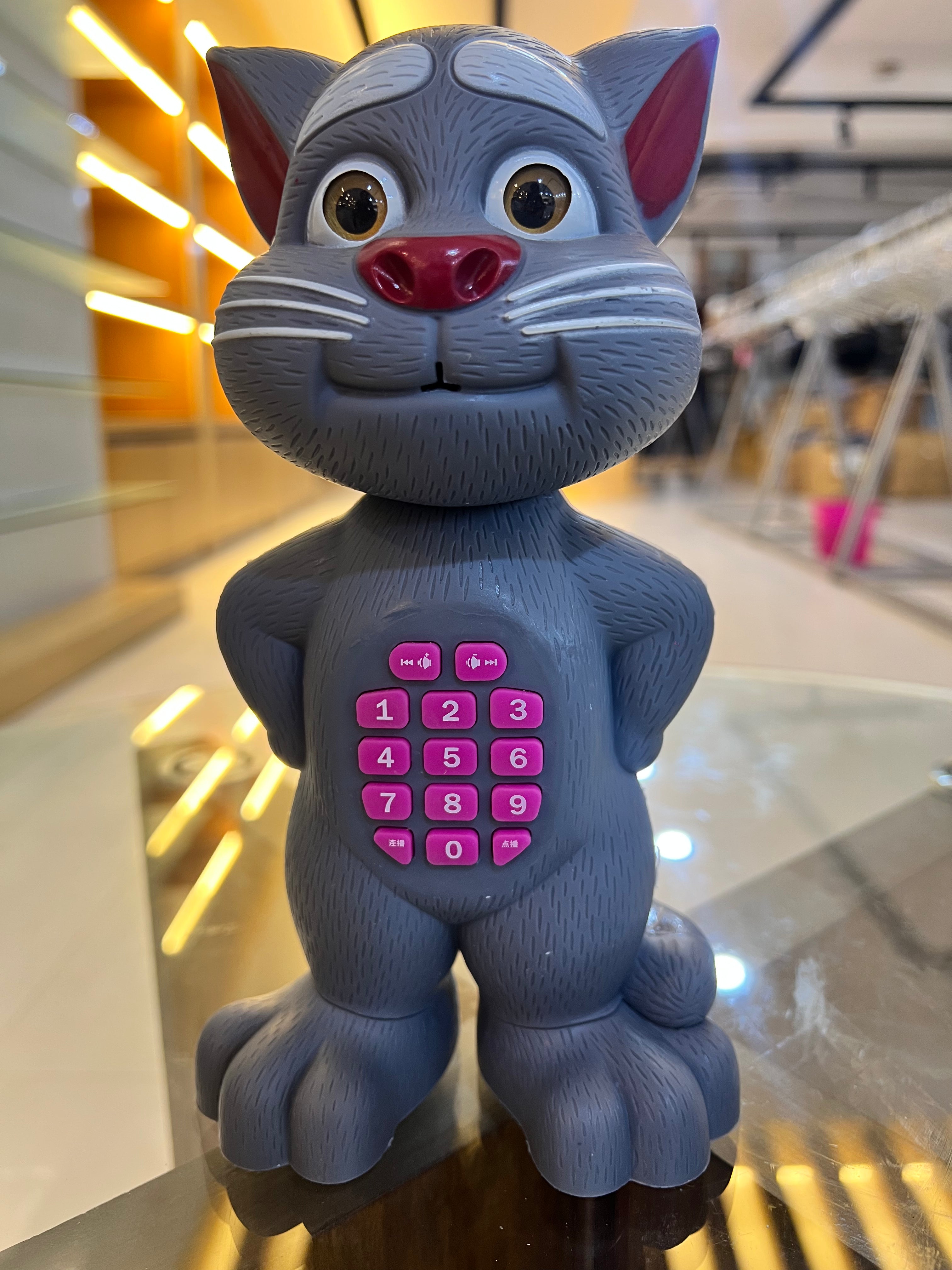 Intelligent Talking Cat Toy with Sound, Music & Keypad