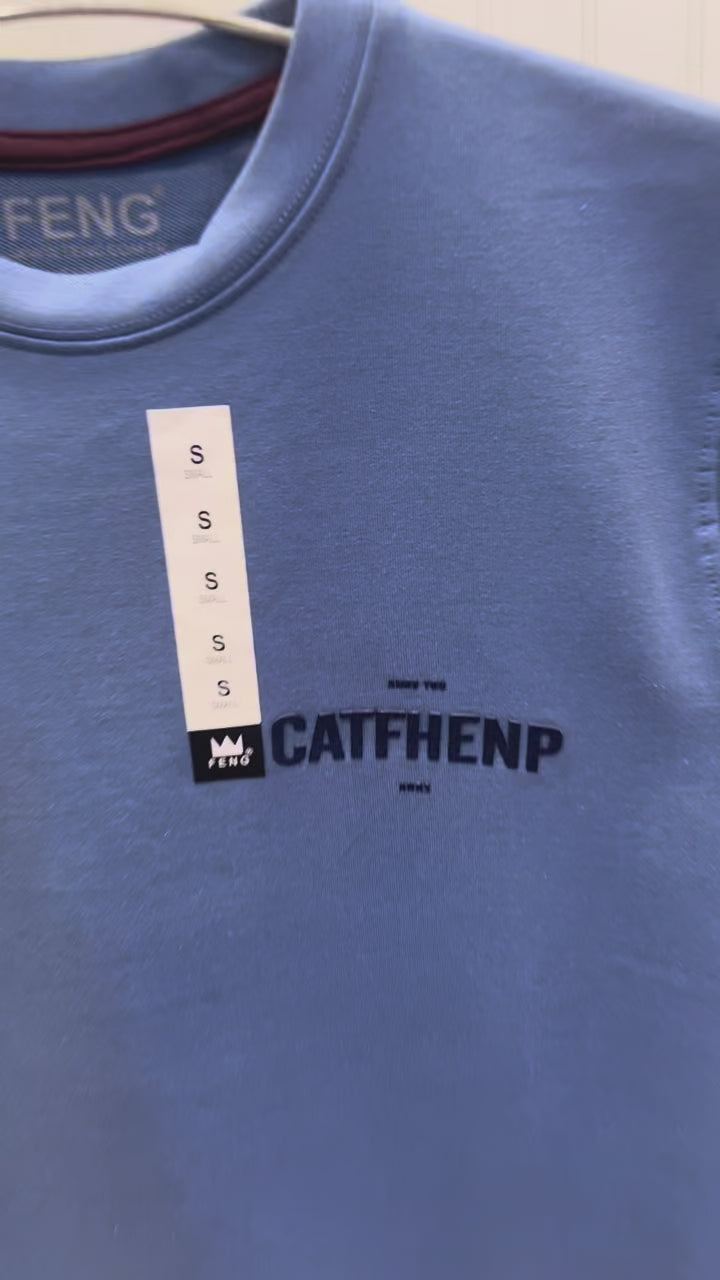 Gatsby Typography Printed T-Shirt for Men – Premium Cotton Regular Fit 1407 A-BABY BLUE