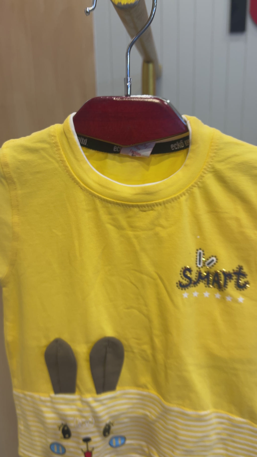 Kids “I’m Smart” Cartoon Printed T-Shirt & Shorts Set 328
