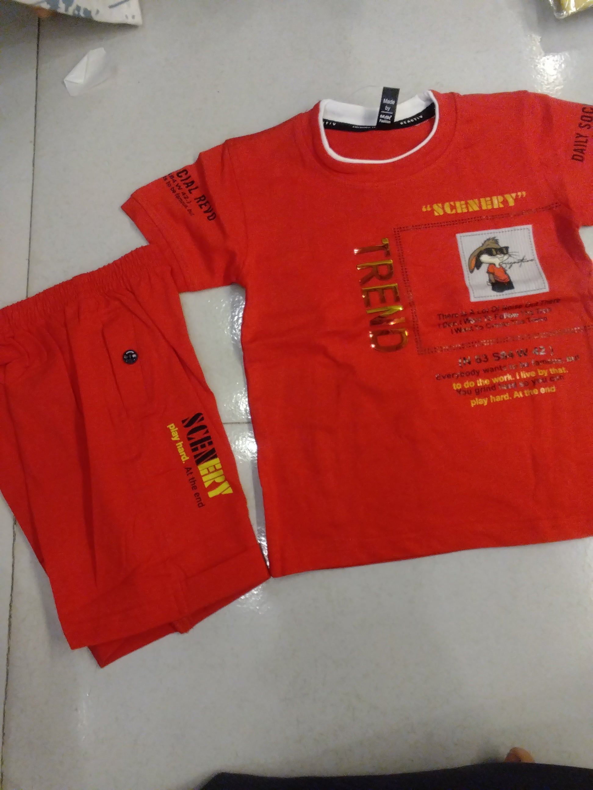 Kids “SCENERY TREND” Printed T-Shirt & Shorts Set 348