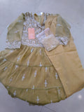 Girls  Embroidered Party Wear Gown Set -C113