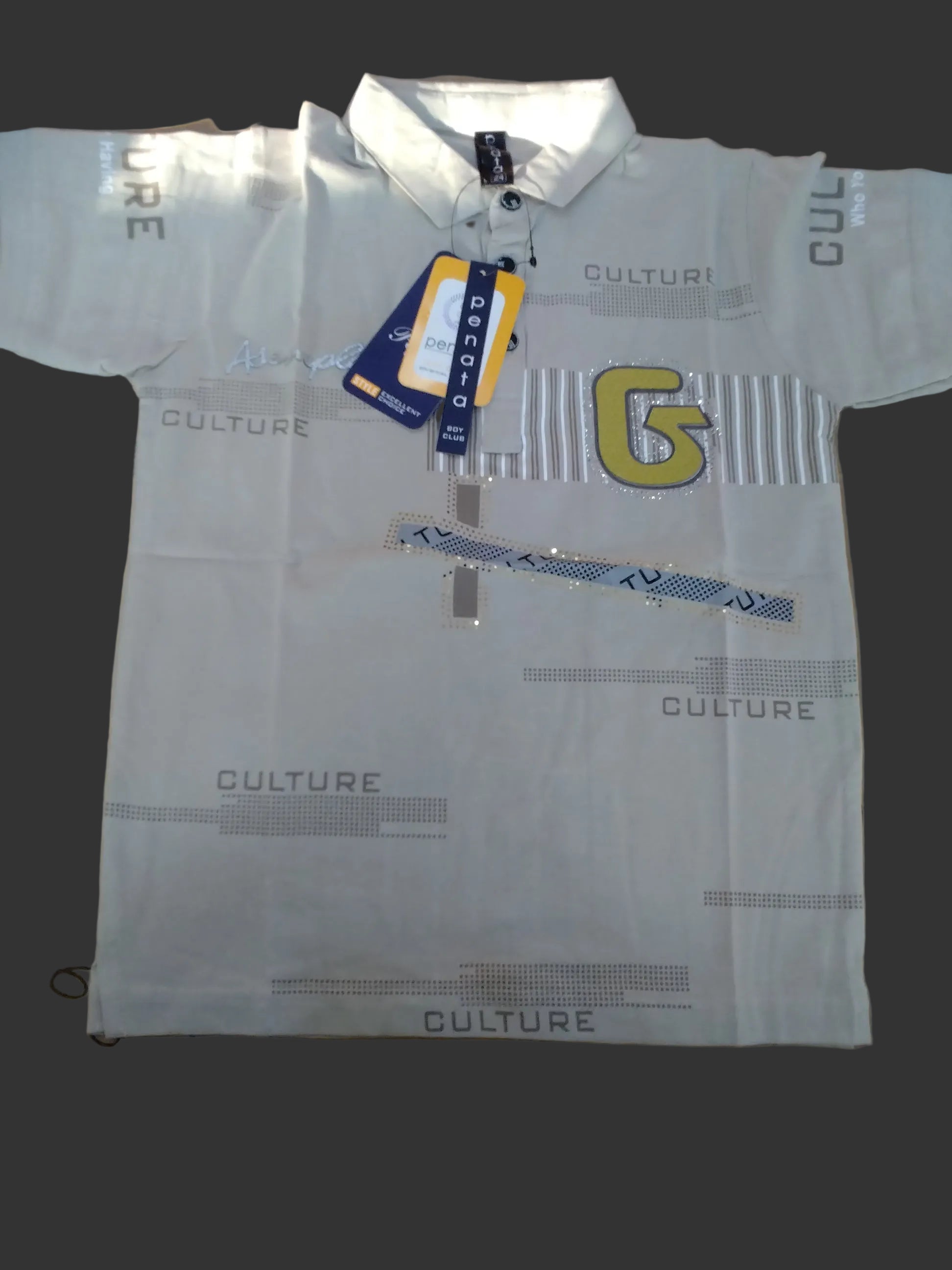 Boys Premium Graphic Polo T-Shirt – Culture G Print Edition 294