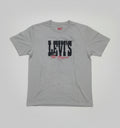 LEVIH T-SHIRT TS08 ASH