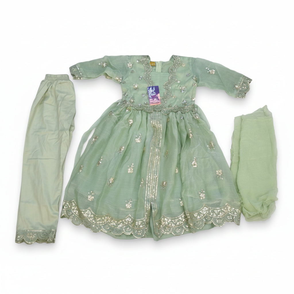 Baby Girls Sequin Embroidered Festive There Pic 253