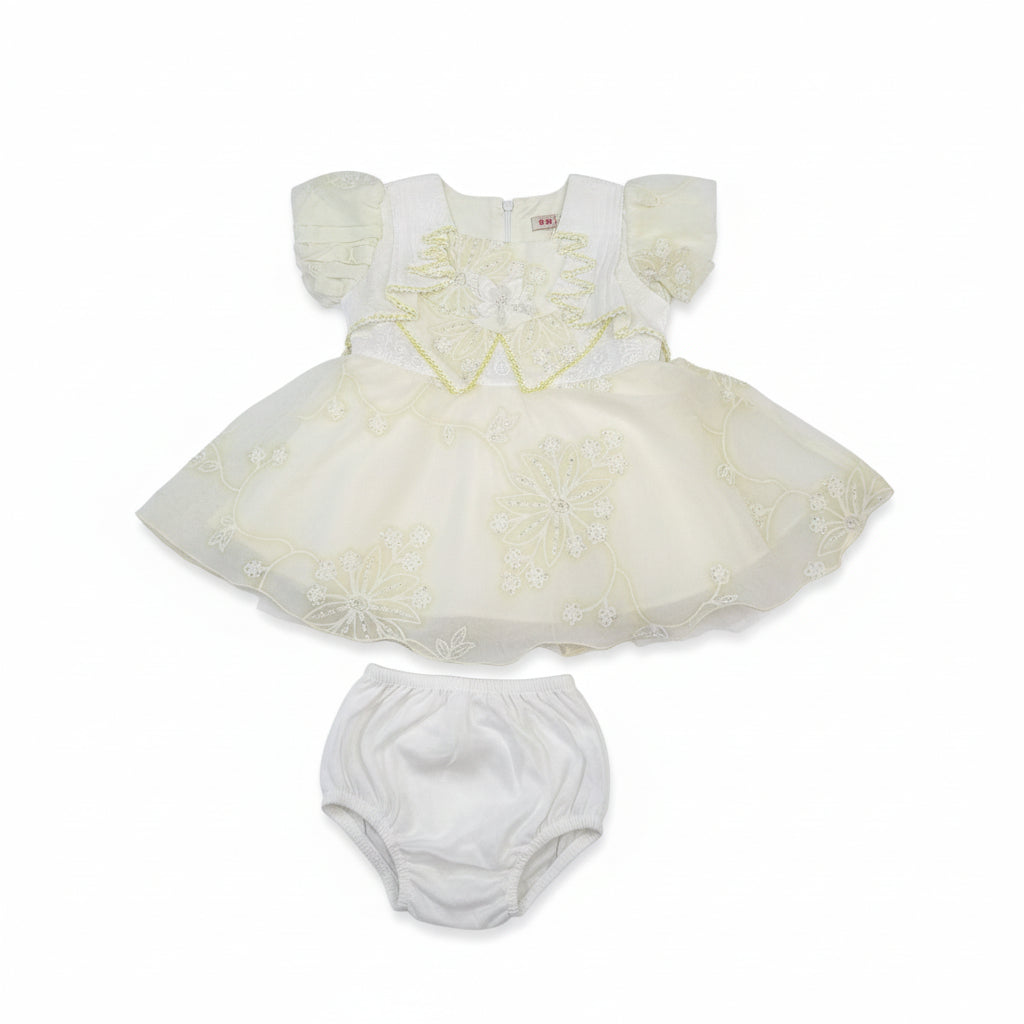 Baby Girls Elegant Embroidered Dress 257