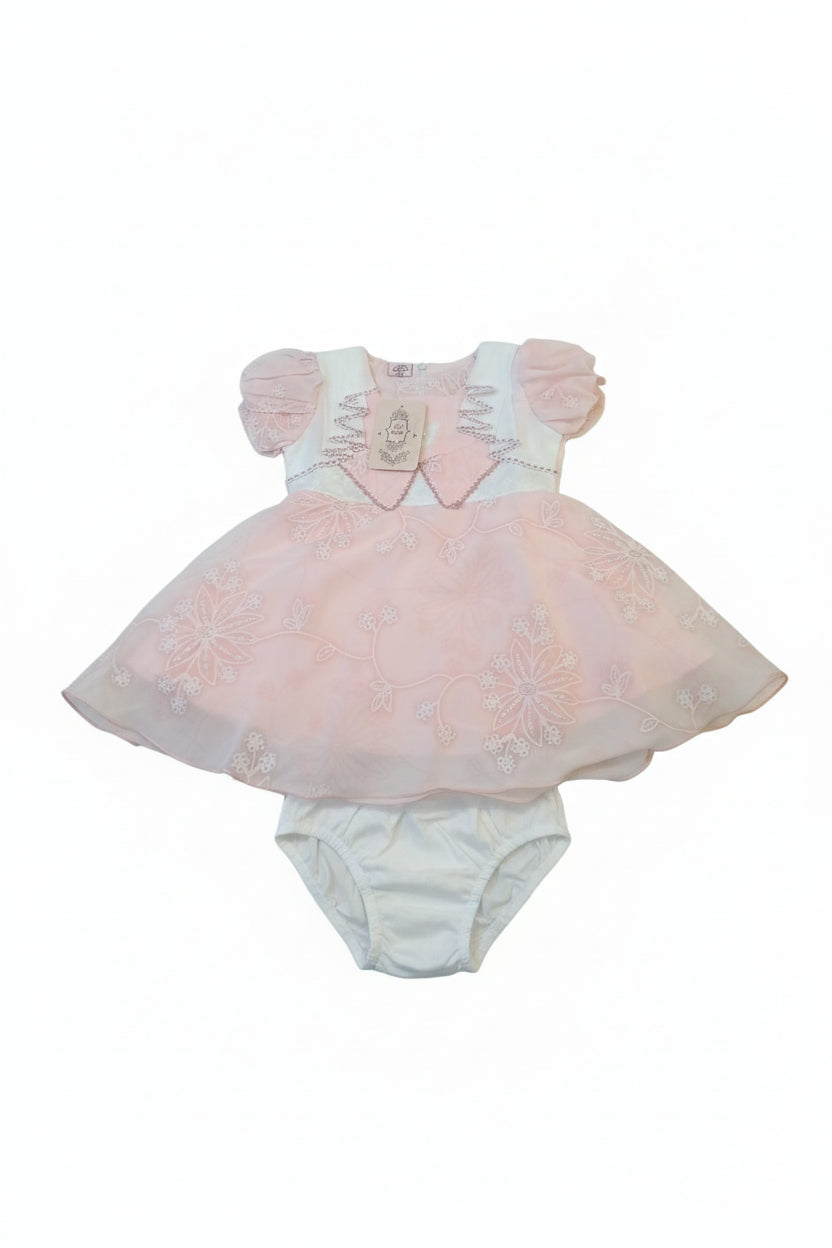 Baby Girls Elegant Embroidered Dress 257