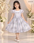 Girls Butterfly Lace Party Frock – GD354