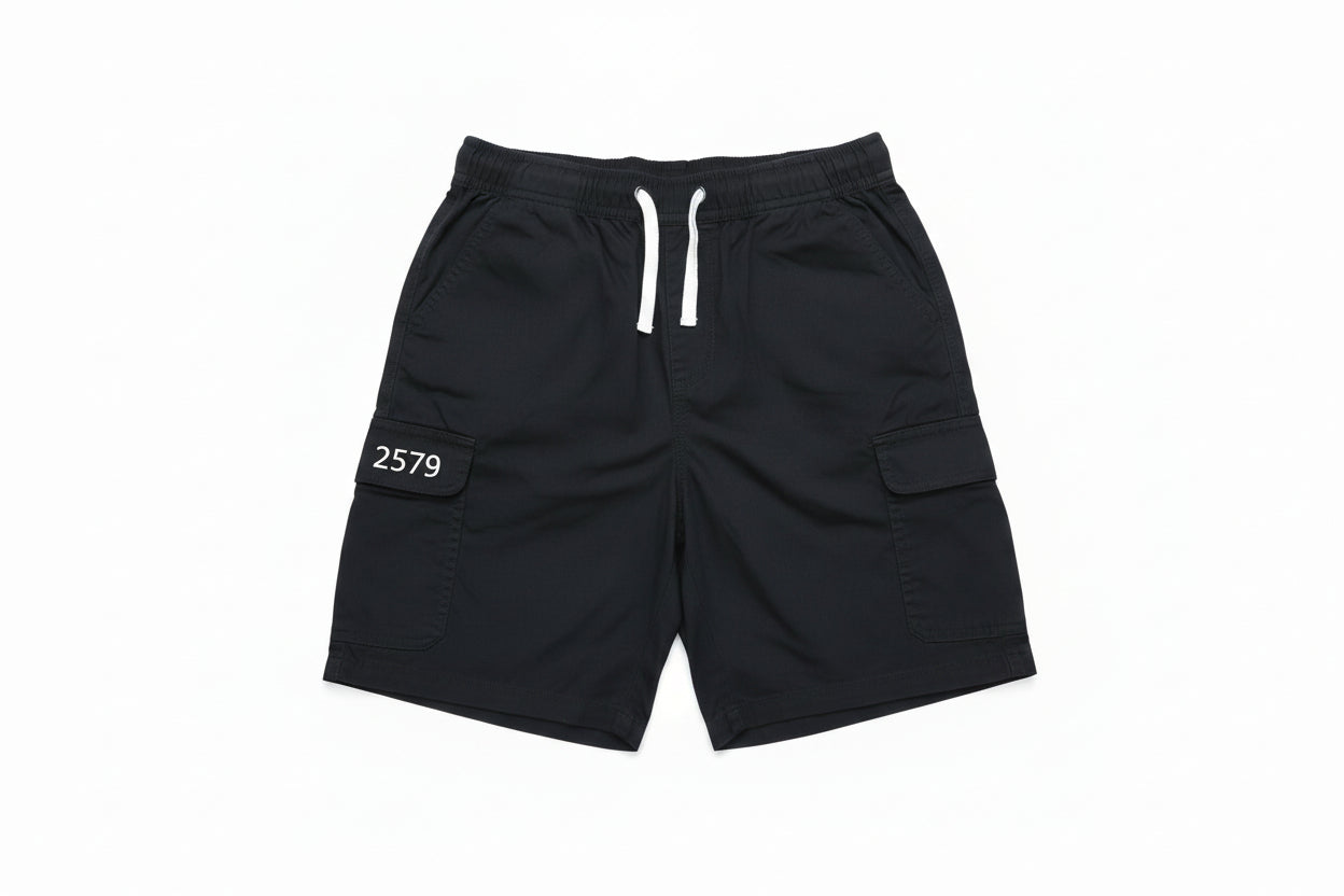 Men's  Premium Stripe Cotton Shorts-C05