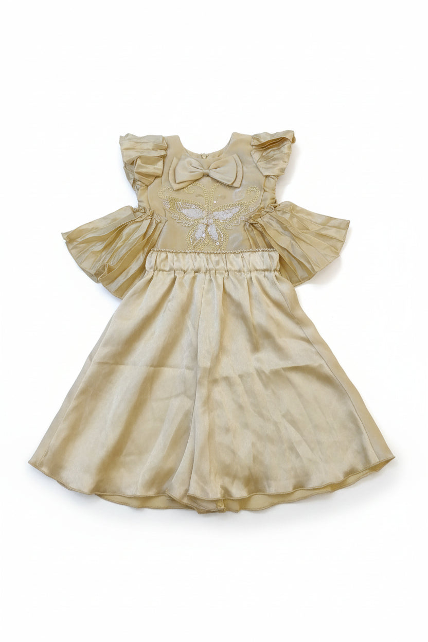 Baby Girls Elegant Embroidered Dress 258