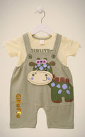 Baby Boy Cute Giraffe Dungaree Romper Set.131