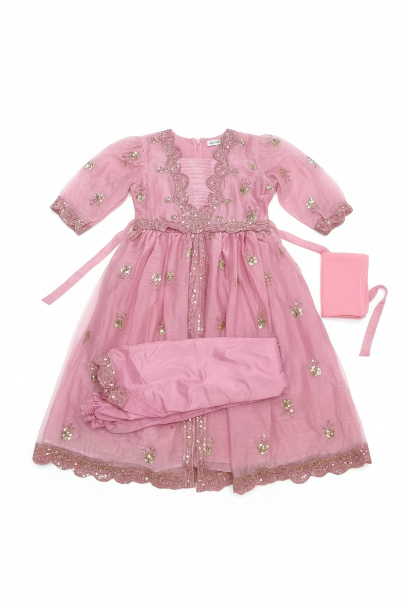 Baby Girls Sequin Embroidered Festive There Pic 253