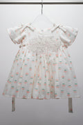 Baby Girls Floral Embroidered Party Dress 185