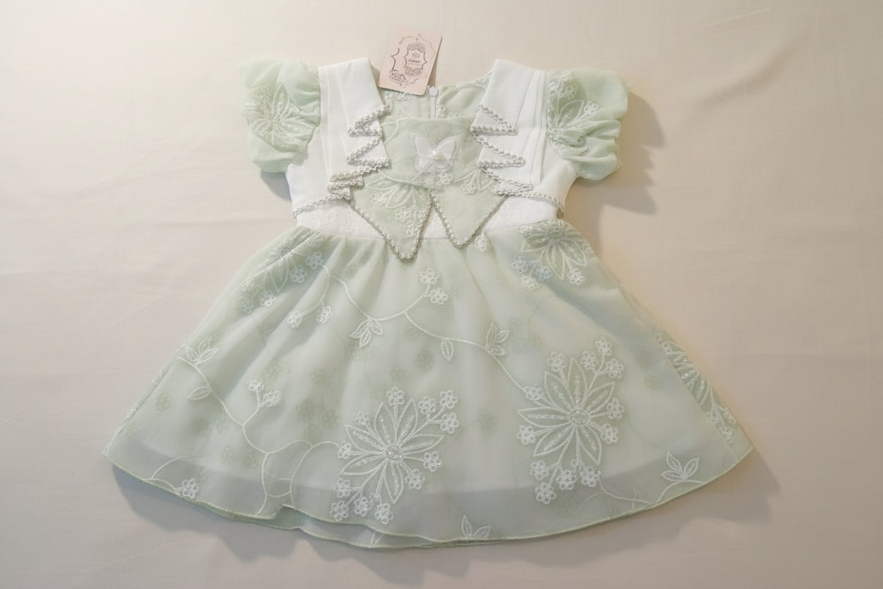 Baby Girls Elegant Embroidered Dress 257