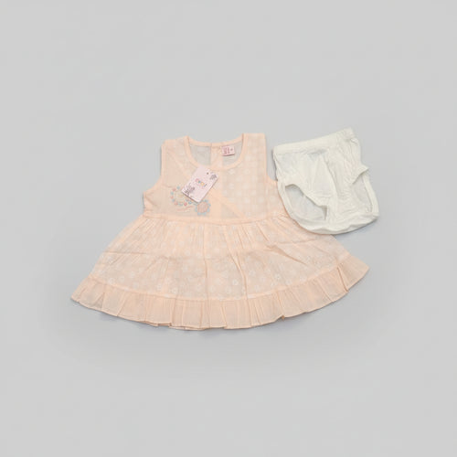 Baby Girls Sleeveless Embroidered Net Frock with Diaper Pant 103