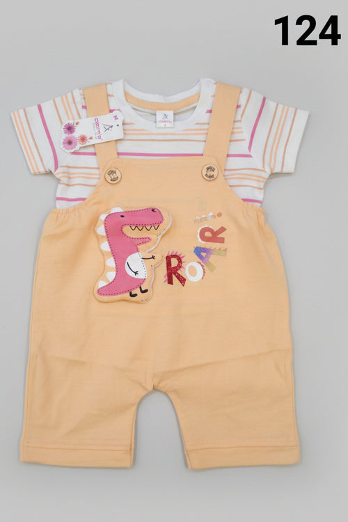 Baby Girls Romper set 124