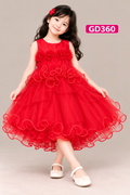Girls Princess Floral Ruffle Party Dress-GD360